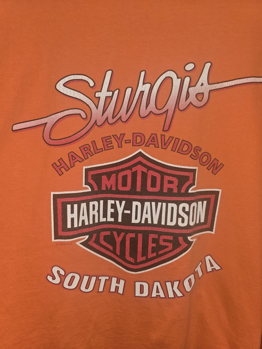 Harley-Davidson Men’s Orange Sturgis South Dakota Graphic T-Shirt